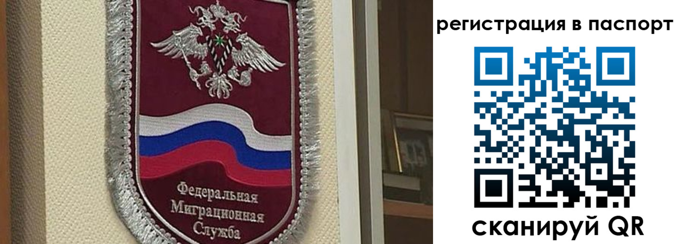 прописка законно в Чкаловске